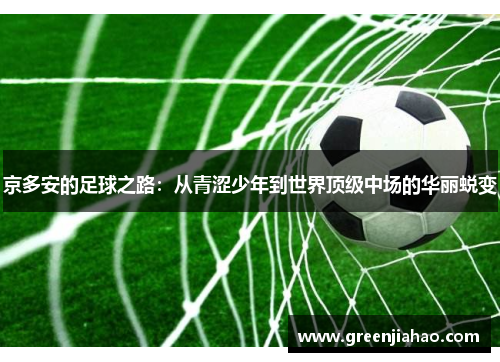 京多安的足球之路：从青涩少年到世界顶级中场的华丽蜕变
